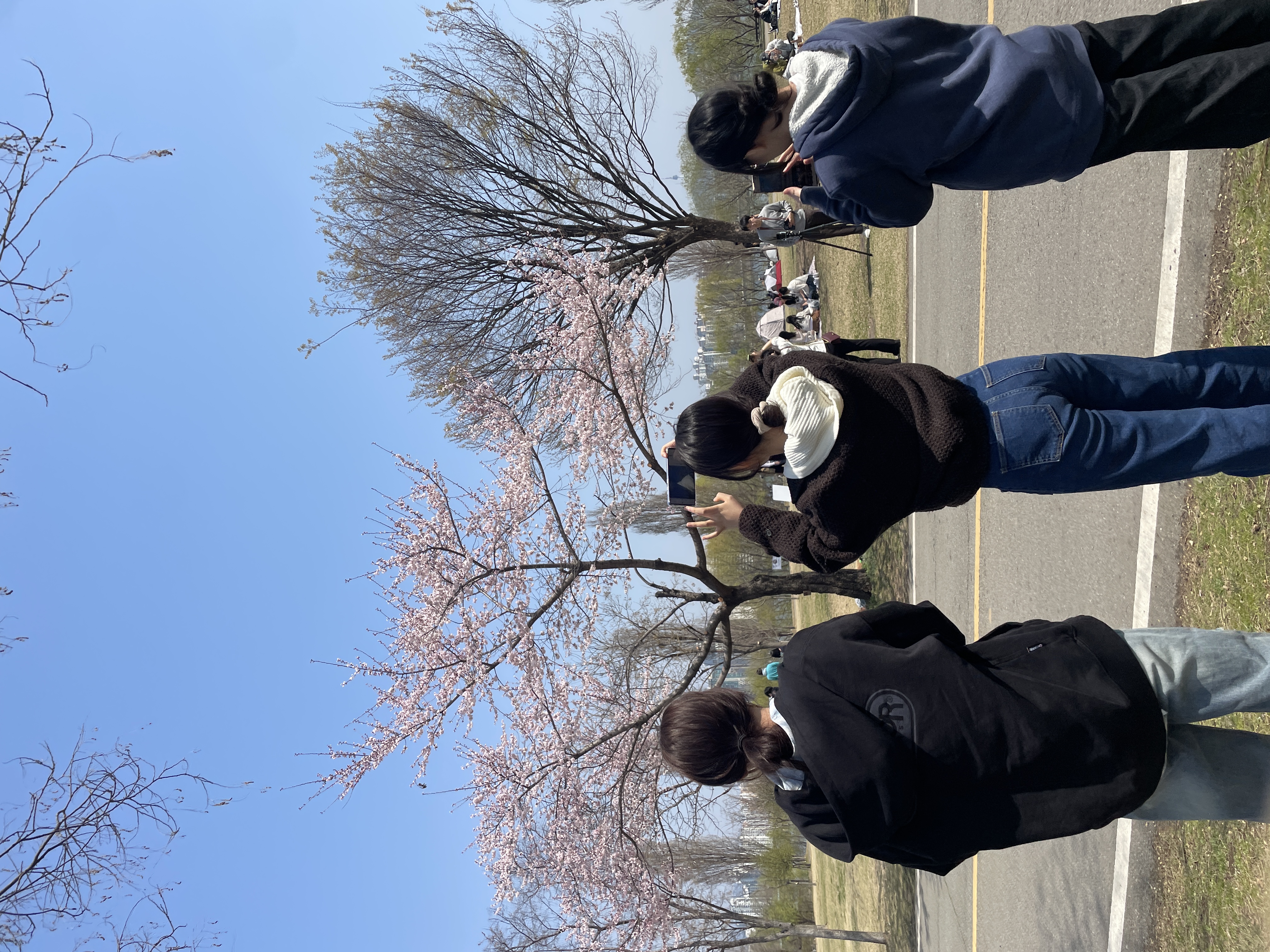KakaoTalk_20250406_132654960.jpg