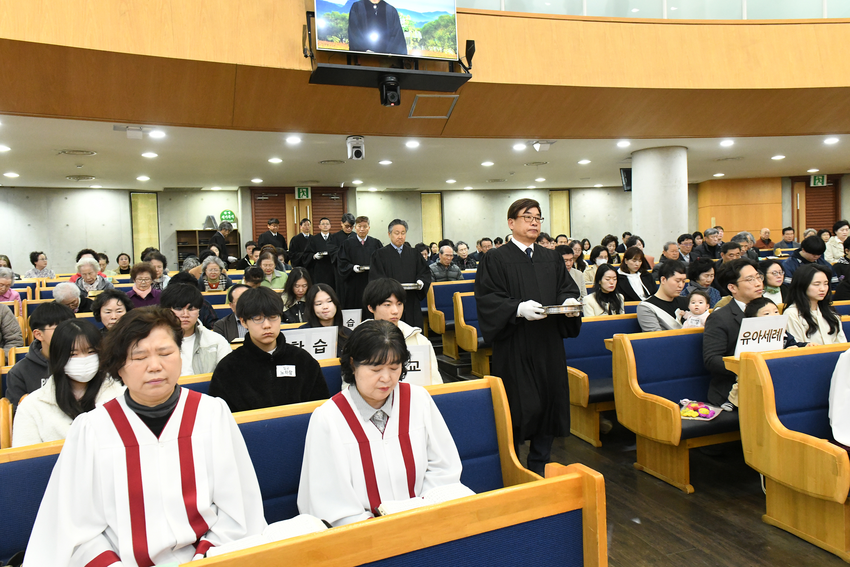 DSC_9135.JPG