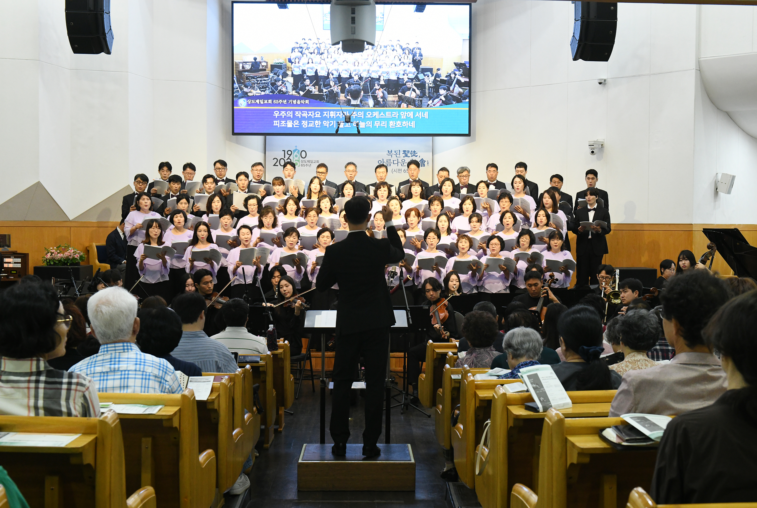 DSC_6565.JPG