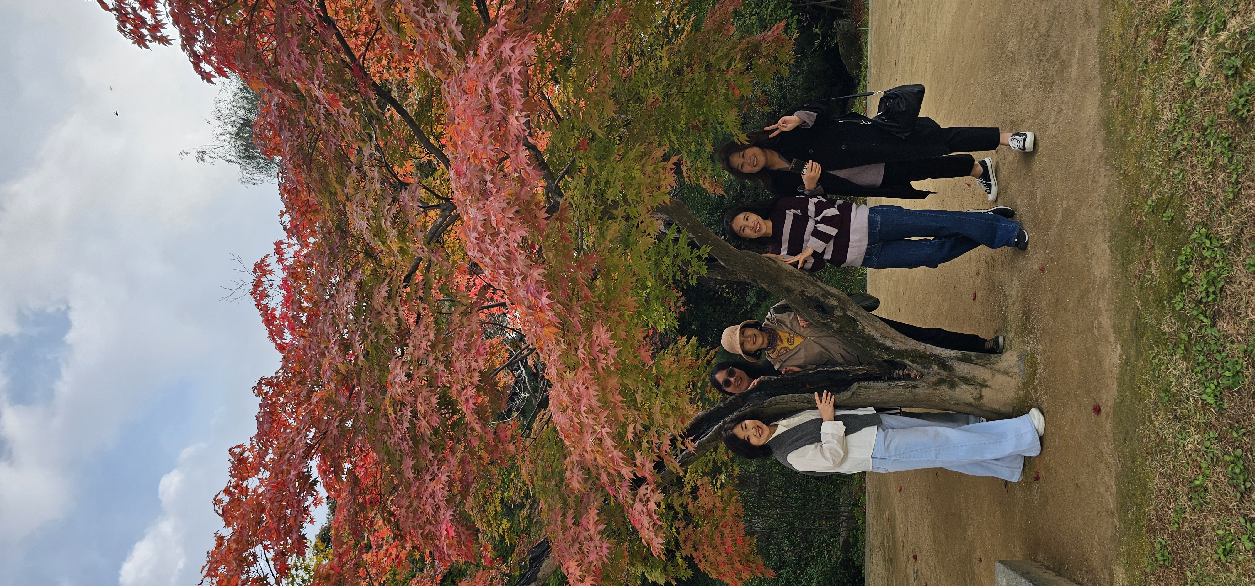 KakaoTalk_20251029_205729195_06.jpg KakaoTalk_20251029_205729195_06.jpg