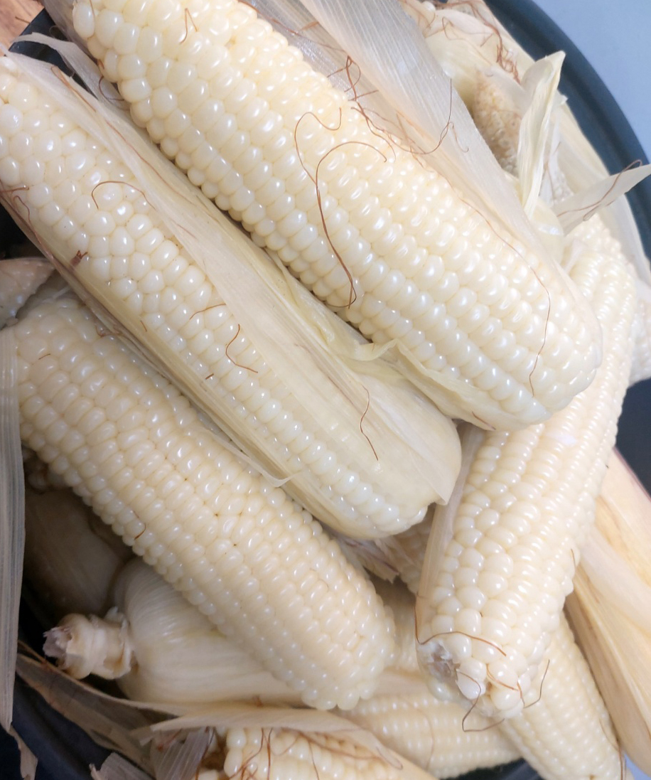 KakaoTalk_20260725_101614400.jpg