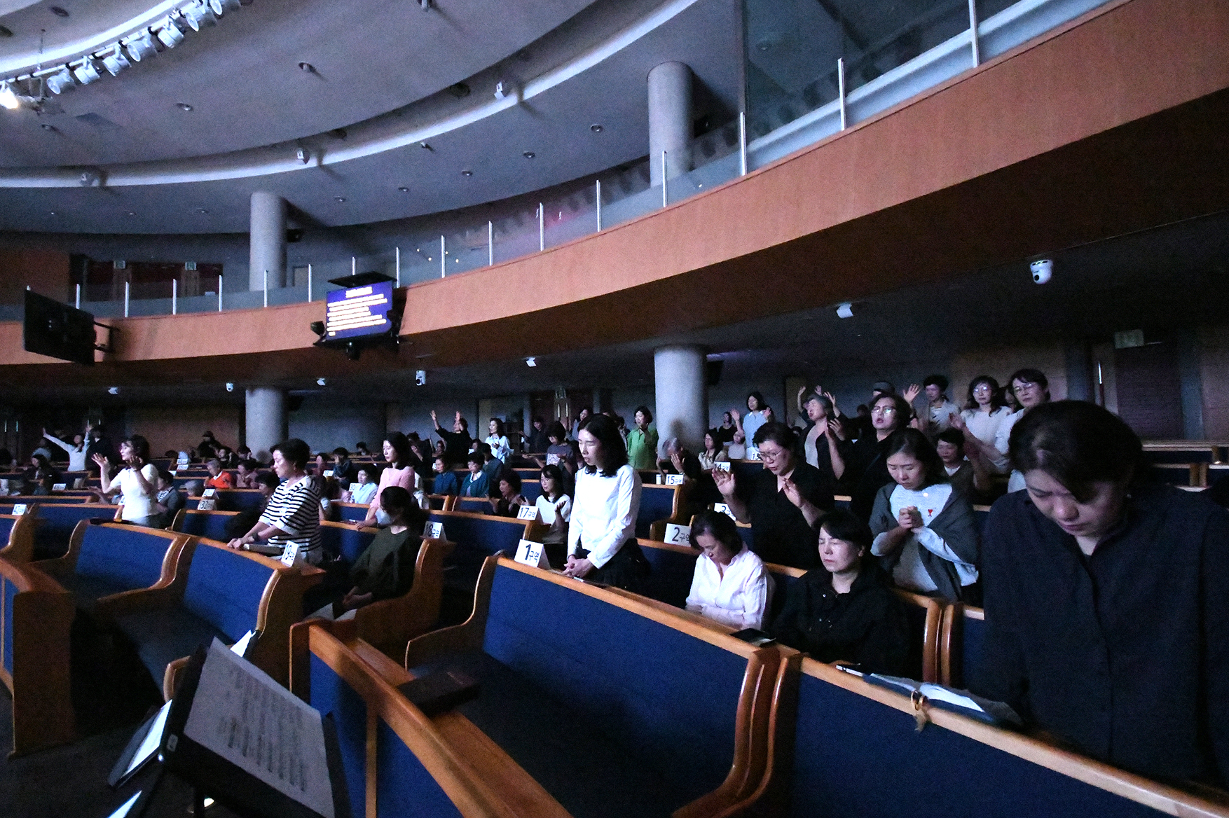 DSC_8808.JPG