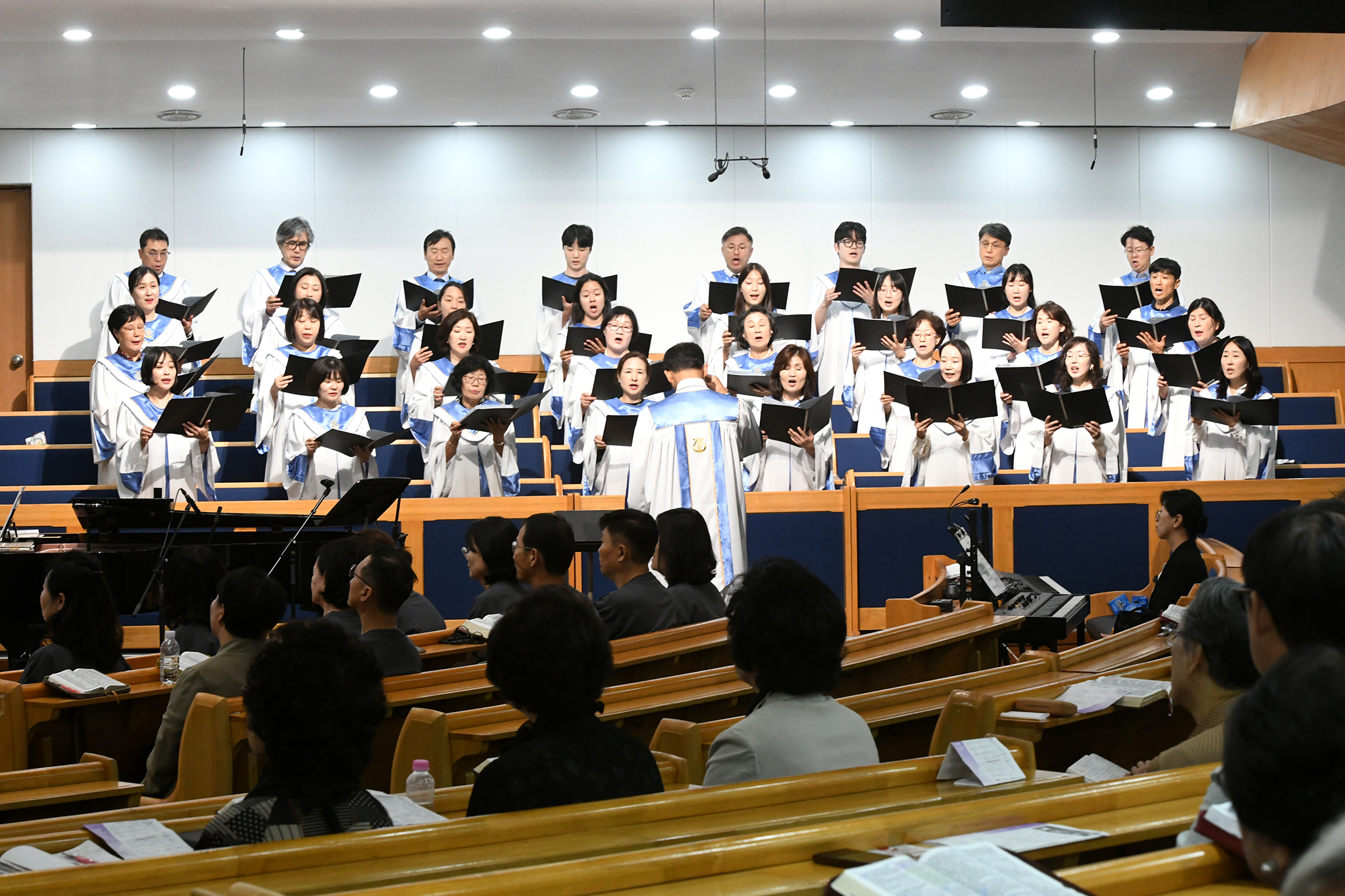 DSC_2537.JPG